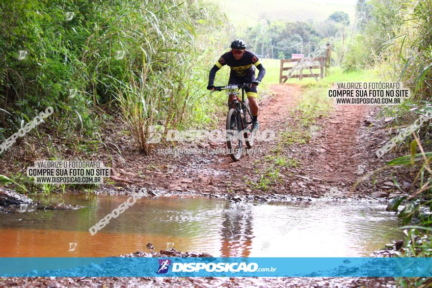 Circuito Regional de MTB - 3ª Etapa - Marialva