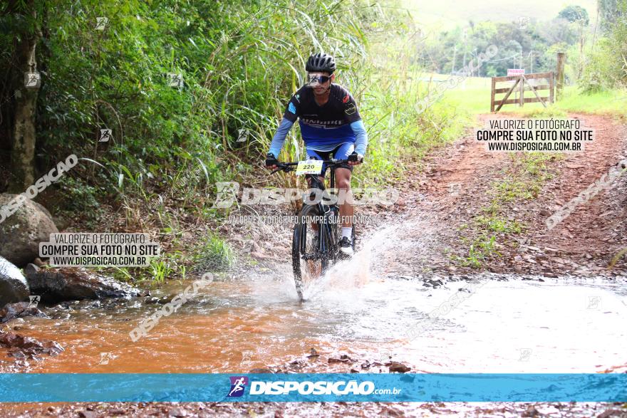 Circuito Regional de MTB - 3ª Etapa - Marialva