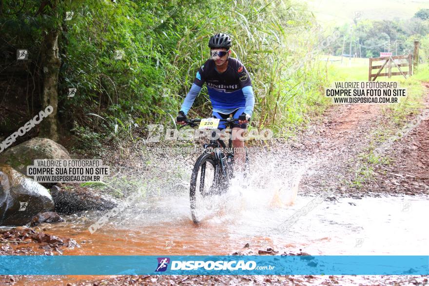 Circuito Regional de MTB - 3ª Etapa - Marialva