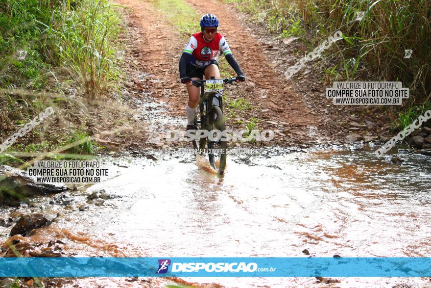 Circuito Regional de MTB - 3ª Etapa - Marialva