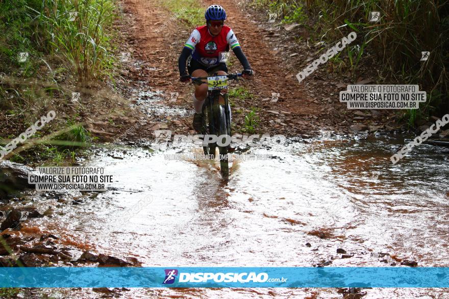 Circuito Regional de MTB - 3ª Etapa - Marialva