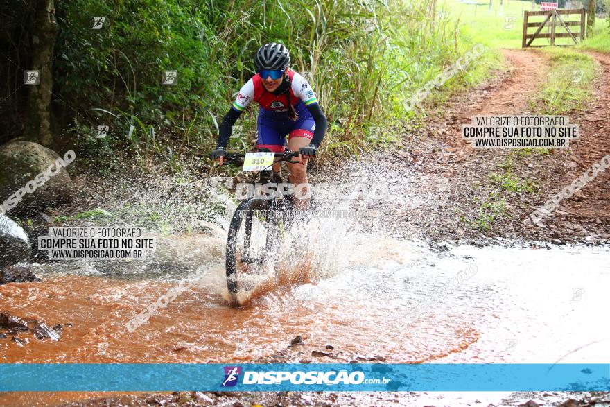 Circuito Regional de MTB - 3ª Etapa - Marialva