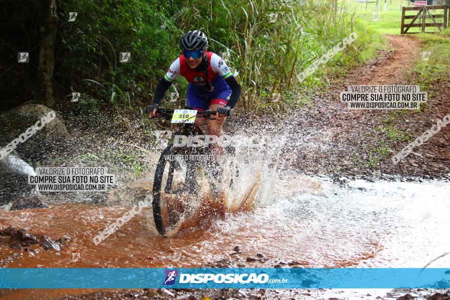 Circuito Regional de MTB - 3ª Etapa - Marialva