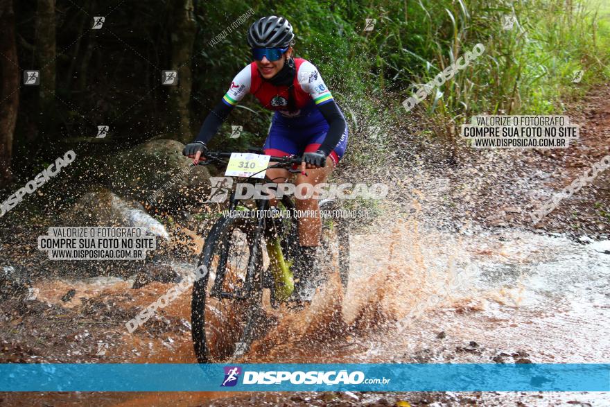 Circuito Regional de MTB - 3ª Etapa - Marialva