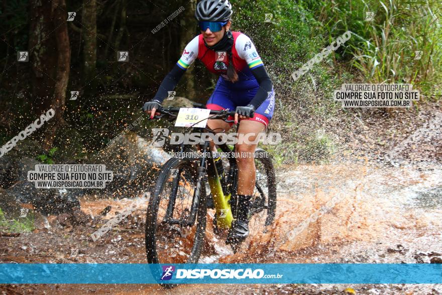 Circuito Regional de MTB - 3ª Etapa - Marialva