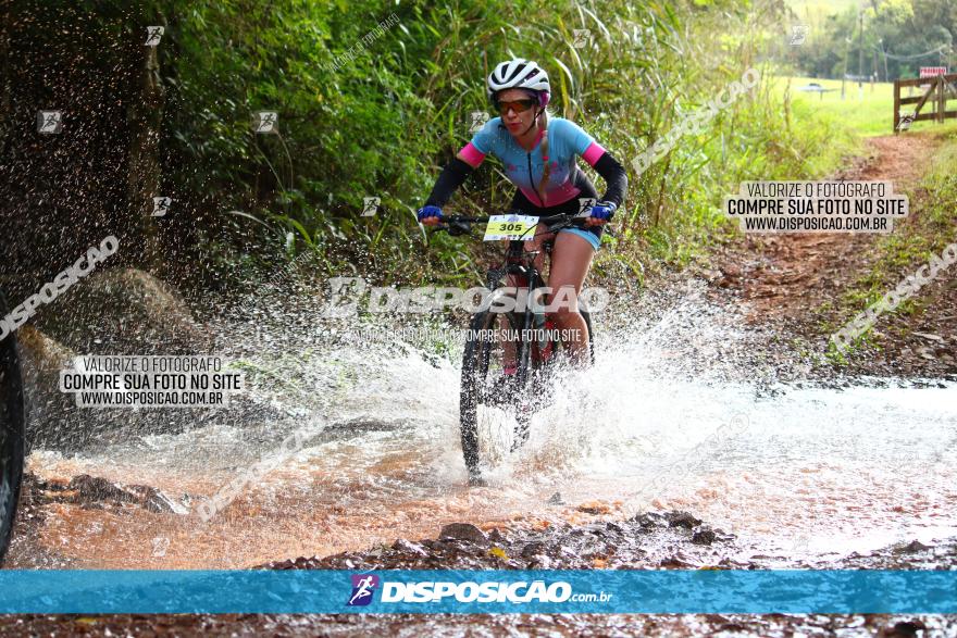 Circuito Regional de MTB - 3ª Etapa - Marialva