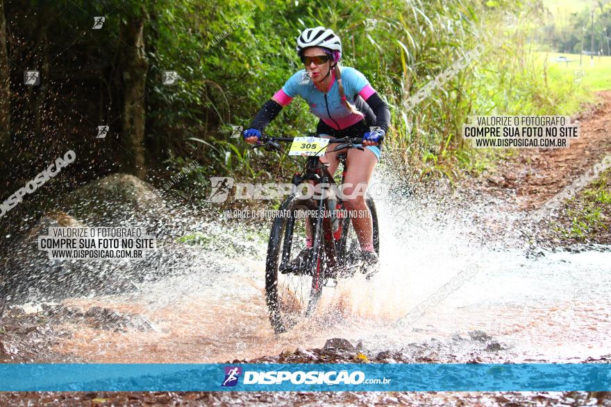 Circuito Regional de MTB - 3ª Etapa - Marialva