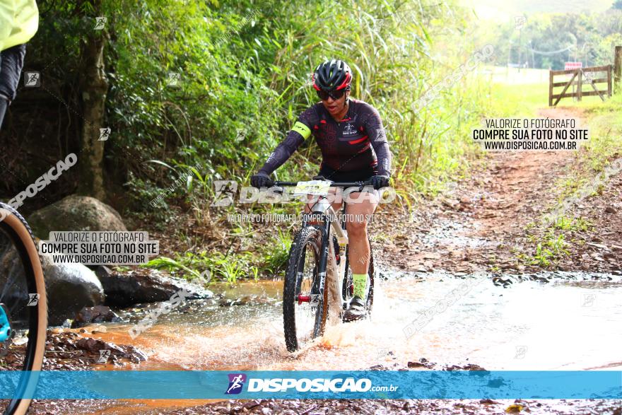 Circuito Regional de MTB - 3ª Etapa - Marialva