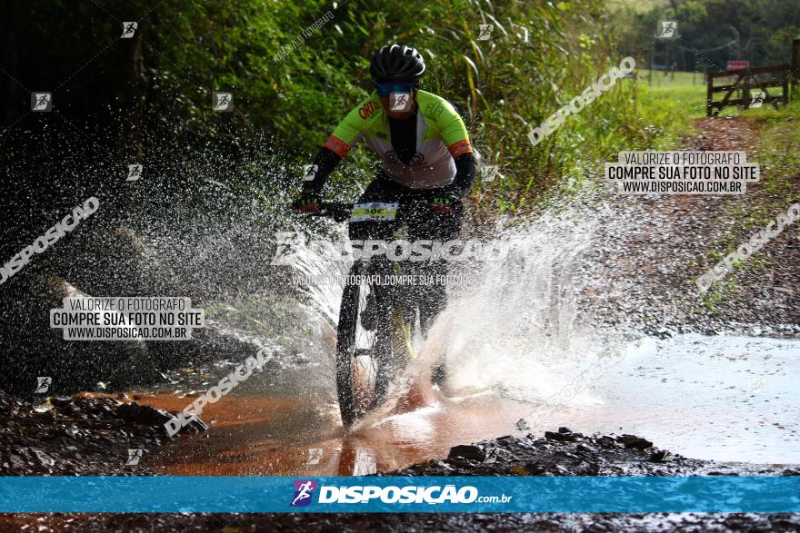 Circuito Regional de MTB - 3ª Etapa - Marialva