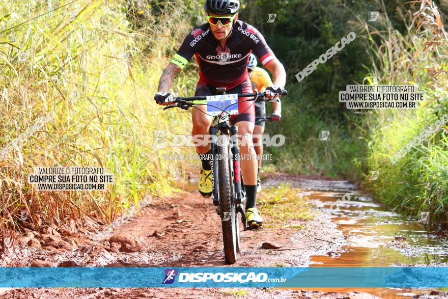 Circuito Regional de MTB - 3ª Etapa - Marialva