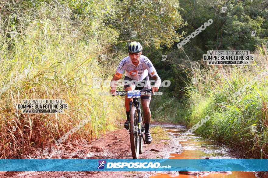 Circuito Regional de MTB - 3ª Etapa - Marialva