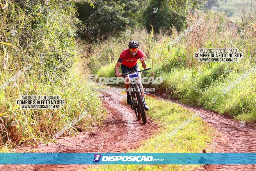 Circuito Regional de MTB - 3ª Etapa - Marialva