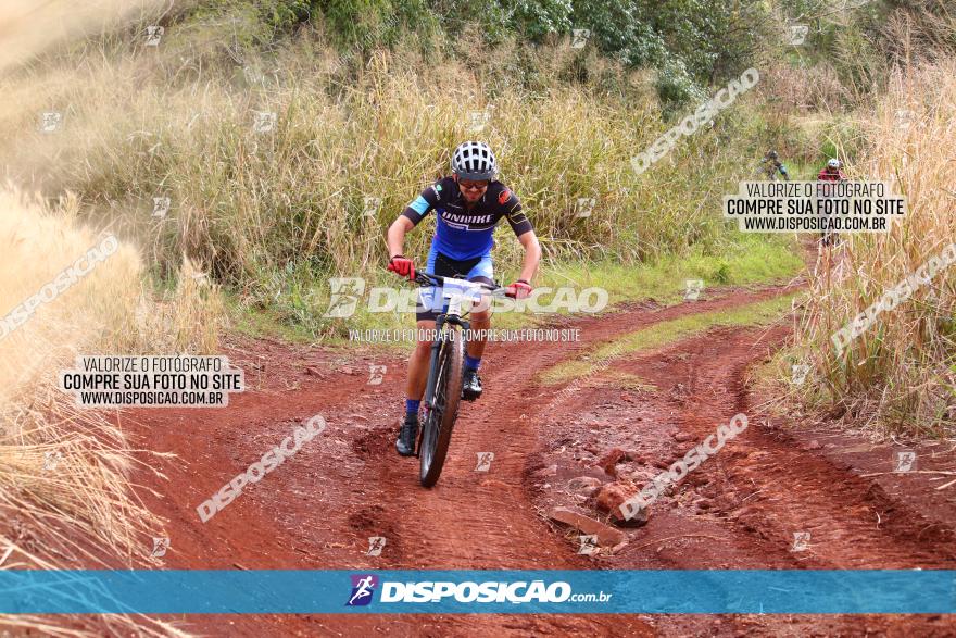 Circuito Regional de MTB - 3ª Etapa - Marialva