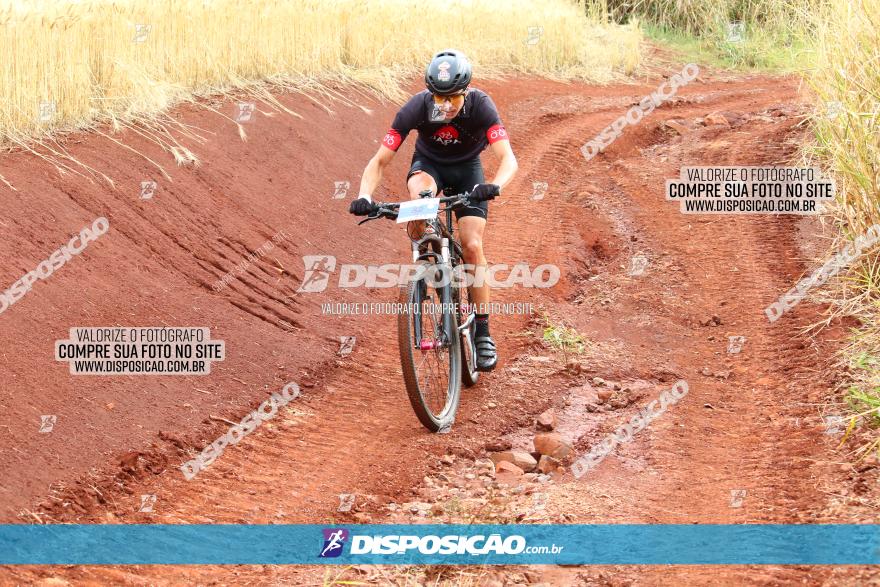 Circuito Regional de MTB - 3ª Etapa - Marialva