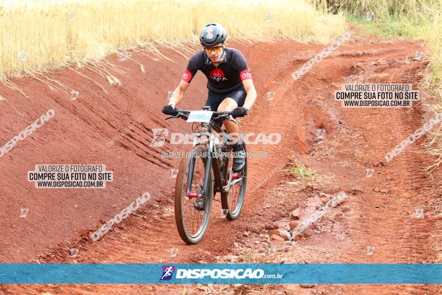 Circuito Regional de MTB - 3ª Etapa - Marialva