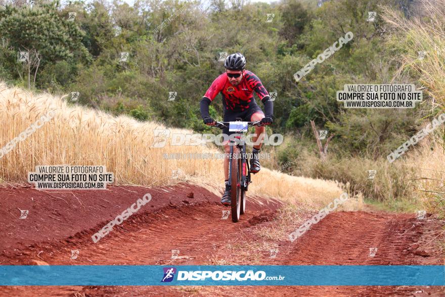 Circuito Regional de MTB - 3ª Etapa - Marialva