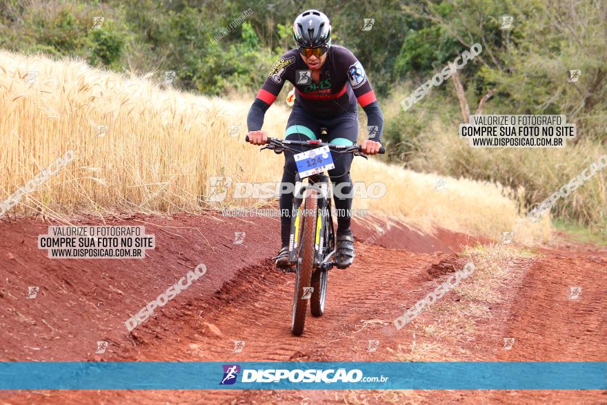 Circuito Regional de MTB - 3ª Etapa - Marialva