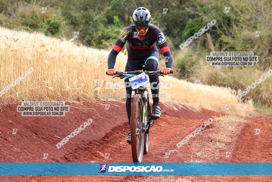 Circuito Regional de MTB - 3ª Etapa - Marialva