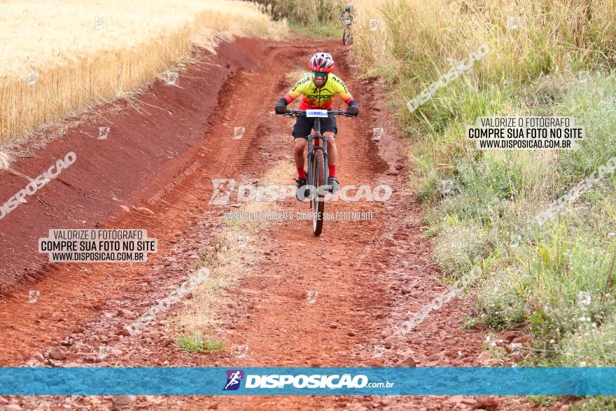 Circuito Regional de MTB - 3ª Etapa - Marialva