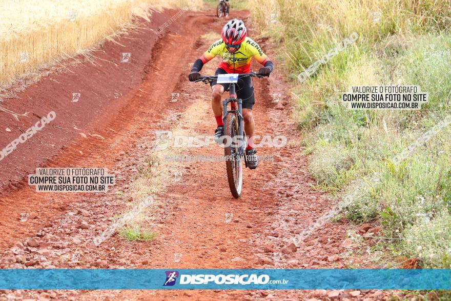 Circuito Regional de MTB - 3ª Etapa - Marialva