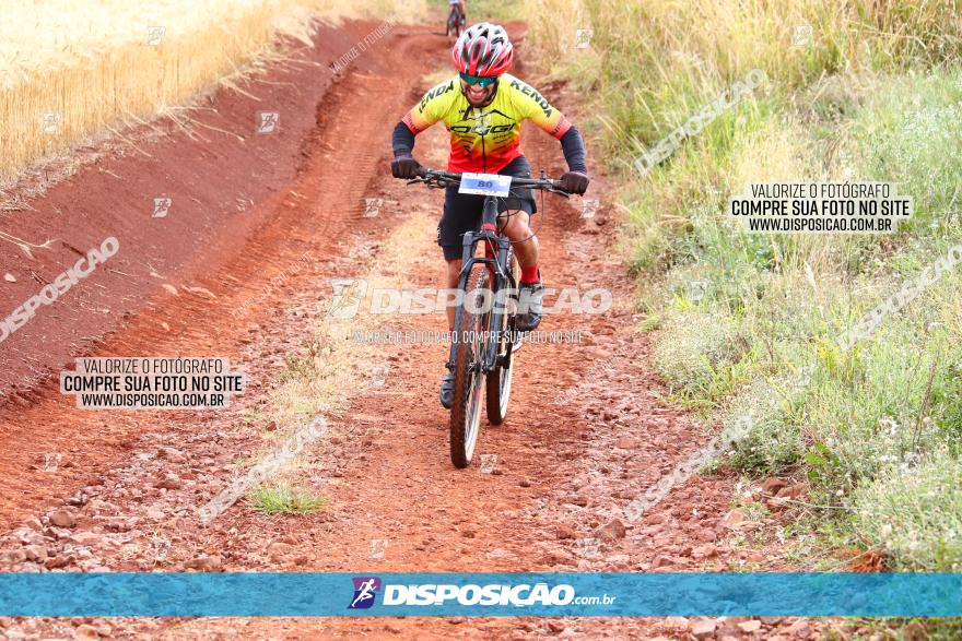 Circuito Regional de MTB - 3ª Etapa - Marialva