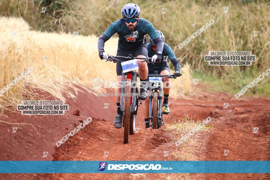 Circuito Regional de MTB - 3ª Etapa - Marialva