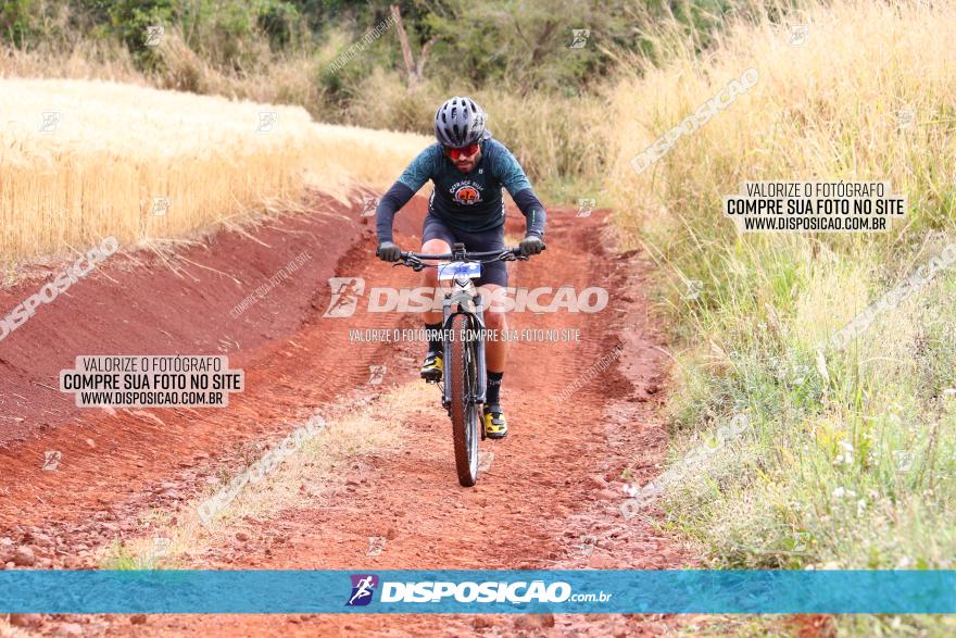 Circuito Regional de MTB - 3ª Etapa - Marialva