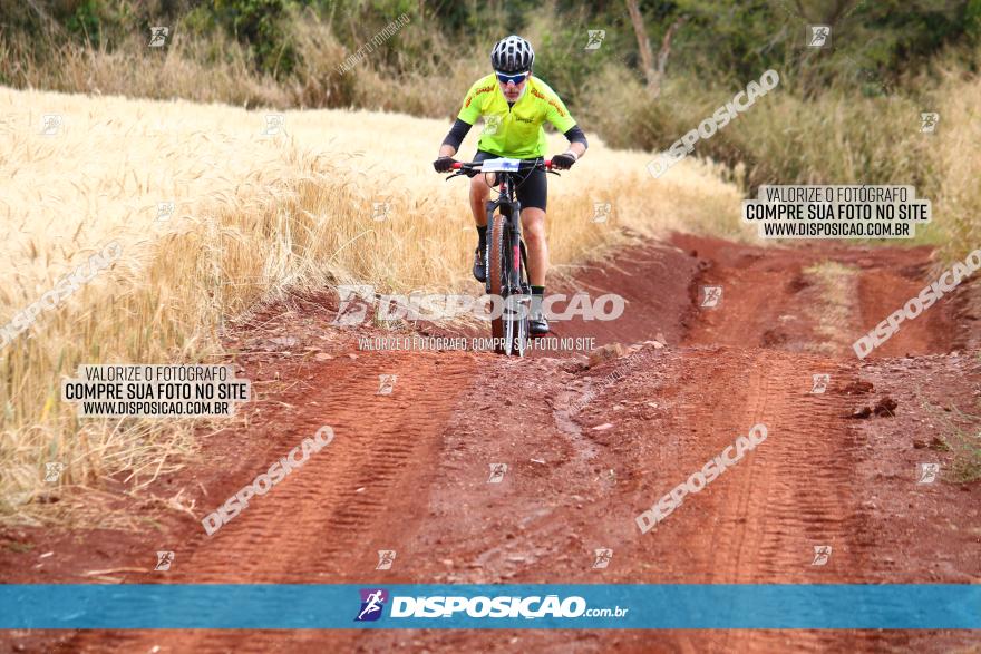 Circuito Regional de MTB - 3ª Etapa - Marialva