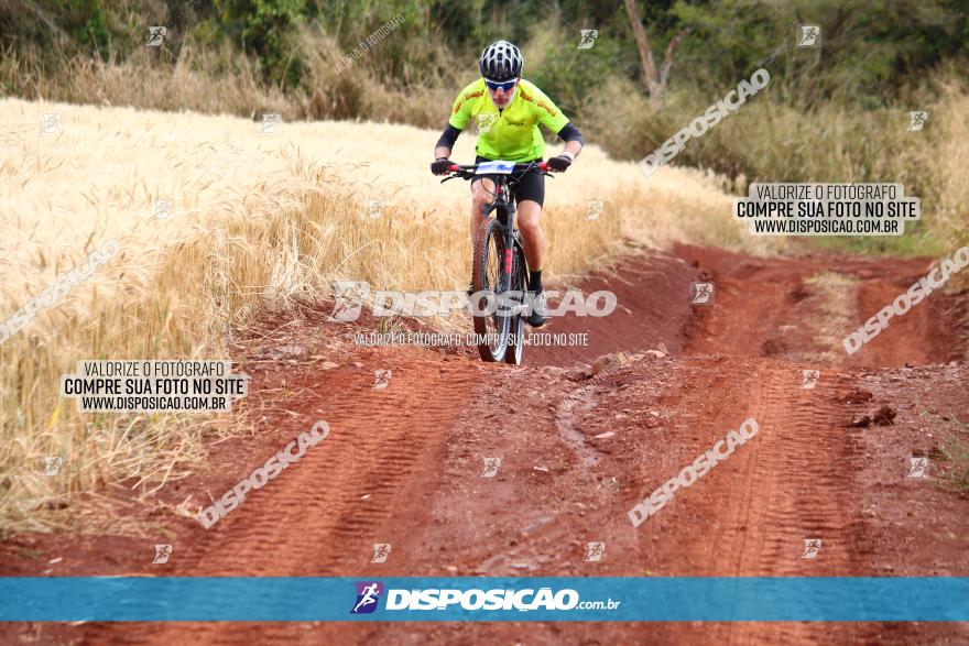 Circuito Regional de MTB - 3ª Etapa - Marialva