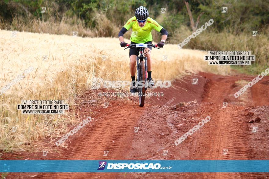 Circuito Regional de MTB - 3ª Etapa - Marialva