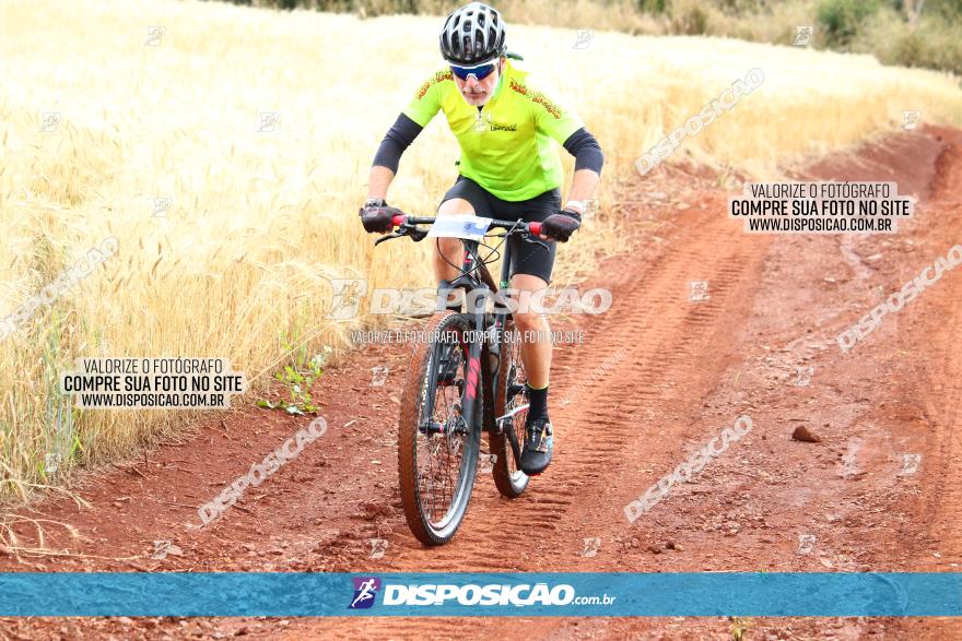 Circuito Regional de MTB - 3ª Etapa - Marialva