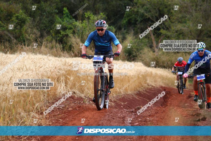 Circuito Regional de MTB - 3ª Etapa - Marialva