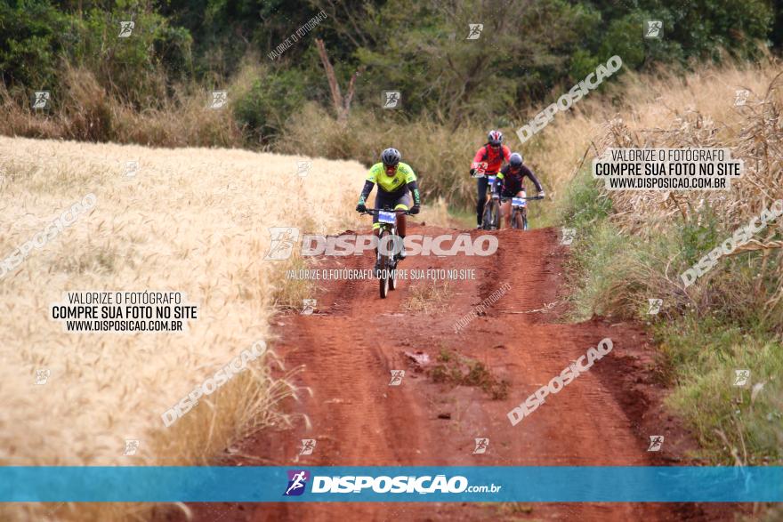 Circuito Regional de MTB - 3ª Etapa - Marialva