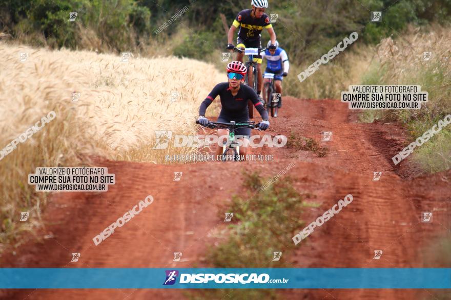 Circuito Regional de MTB - 3ª Etapa - Marialva