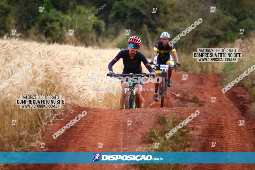 Circuito Regional de MTB - 3ª Etapa - Marialva