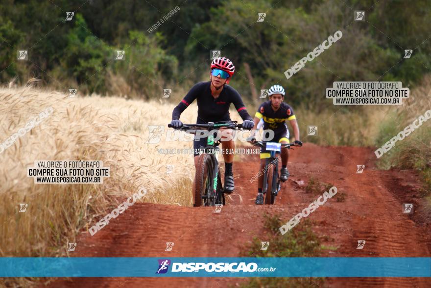 Circuito Regional de MTB - 3ª Etapa - Marialva