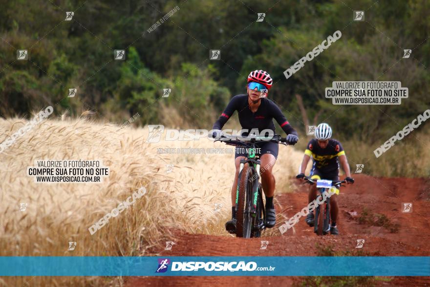 Circuito Regional de MTB - 3ª Etapa - Marialva