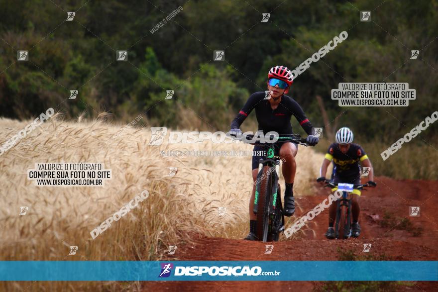 Circuito Regional de MTB - 3ª Etapa - Marialva