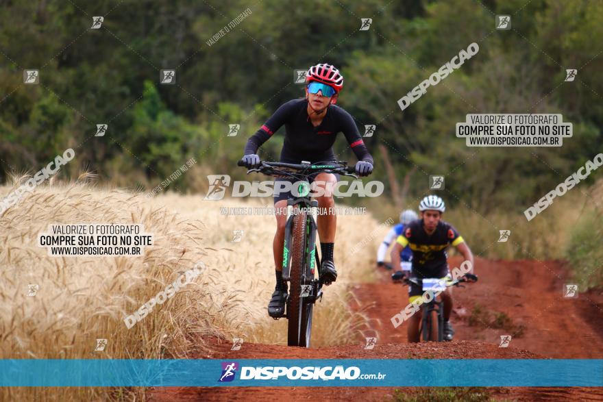 Circuito Regional de MTB - 3ª Etapa - Marialva