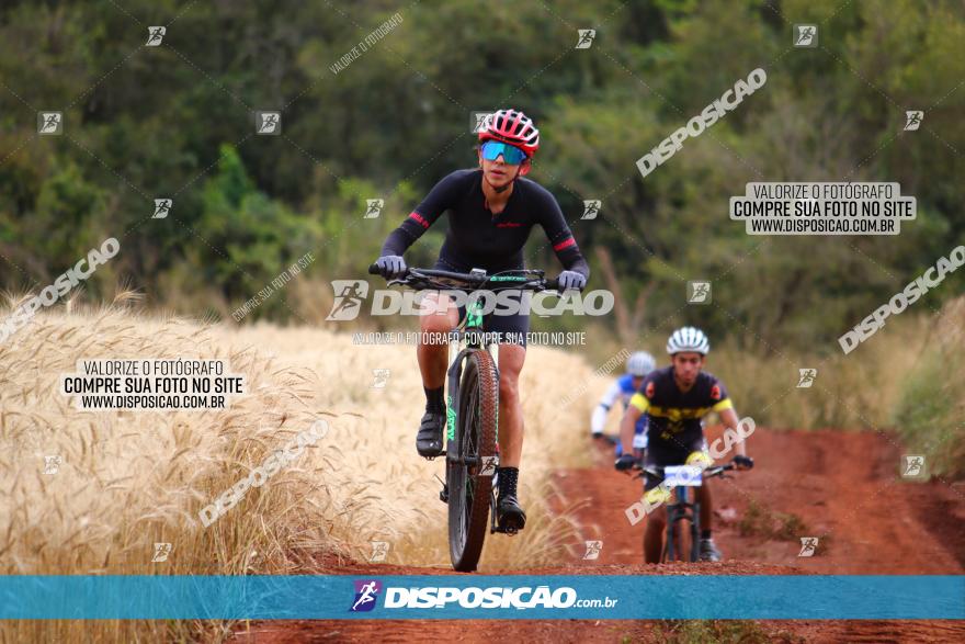 Circuito Regional de MTB - 3ª Etapa - Marialva