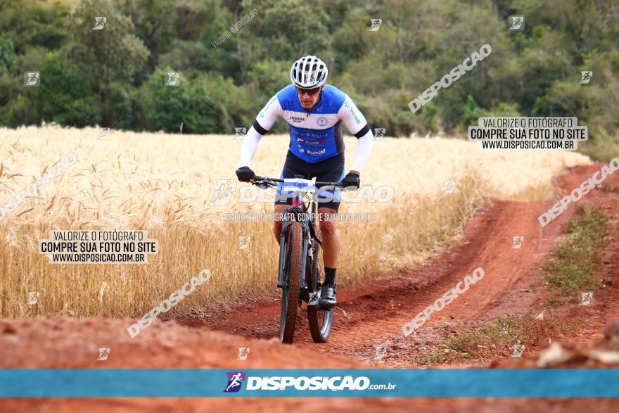 Circuito Regional de MTB - 3ª Etapa - Marialva