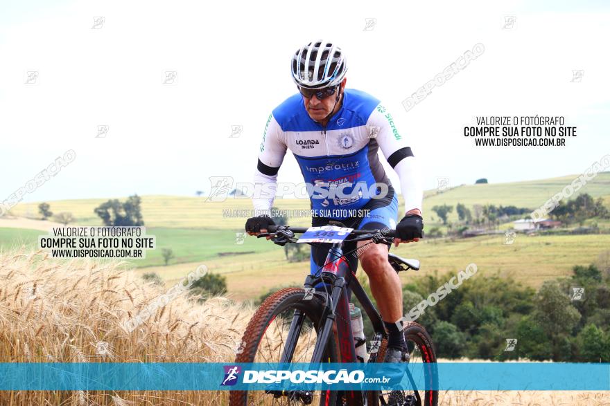 Circuito Regional de MTB - 3ª Etapa - Marialva