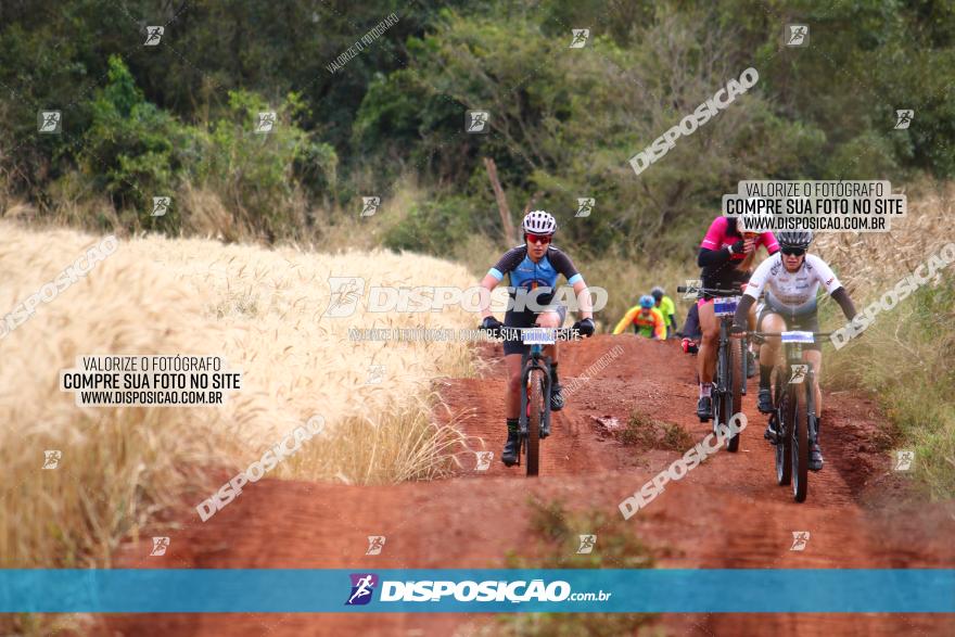 Circuito Regional de MTB - 3ª Etapa - Marialva