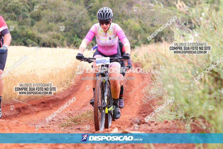 Circuito Regional de MTB - 3ª Etapa - Marialva