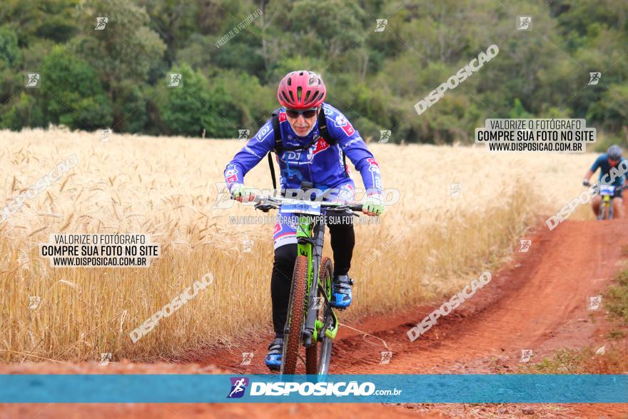 Circuito Regional de MTB - 3ª Etapa - Marialva