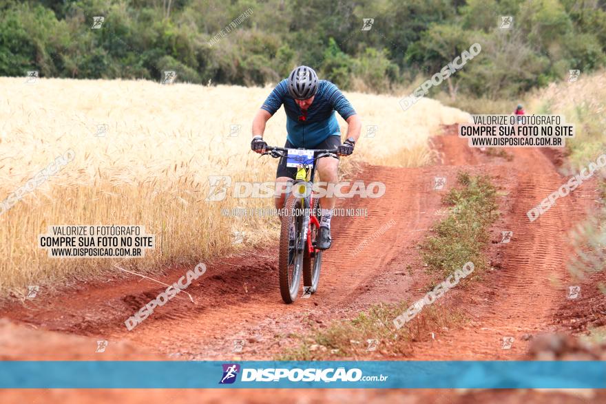 Circuito Regional de MTB - 3ª Etapa - Marialva