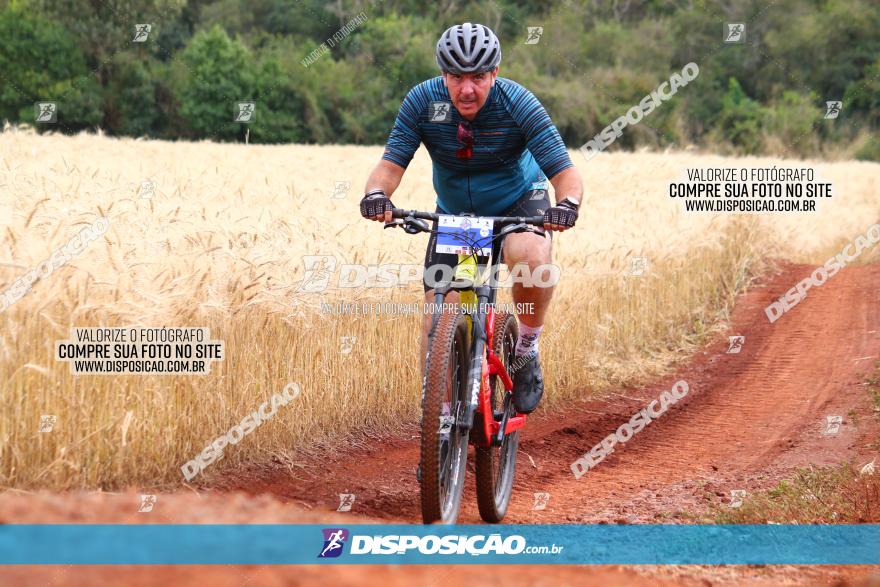 Circuito Regional de MTB - 3ª Etapa - Marialva