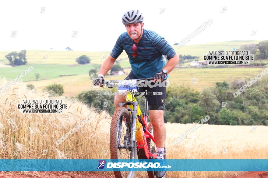 Circuito Regional de MTB - 3ª Etapa - Marialva