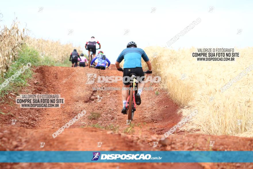 Circuito Regional de MTB - 3ª Etapa - Marialva