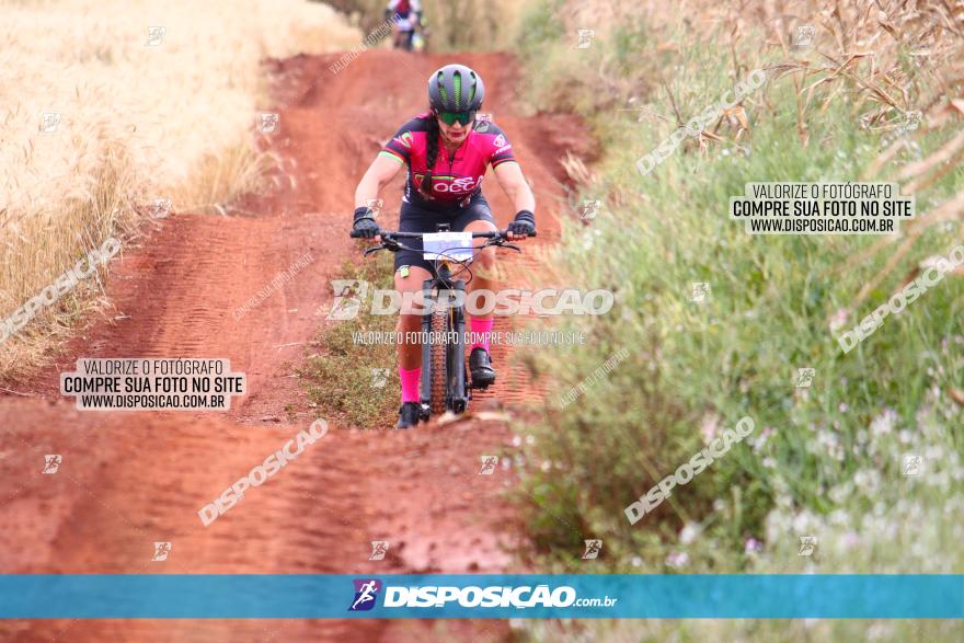 Circuito Regional de MTB - 3ª Etapa - Marialva